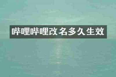 哔哩哔哩改名多久生效