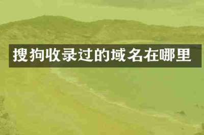 搜狗收录过的域名在哪里