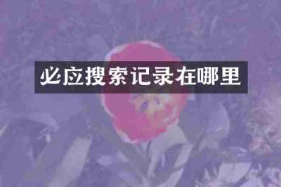 必应搜索记录在哪里