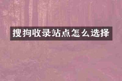 搜狗收录站点怎么选择