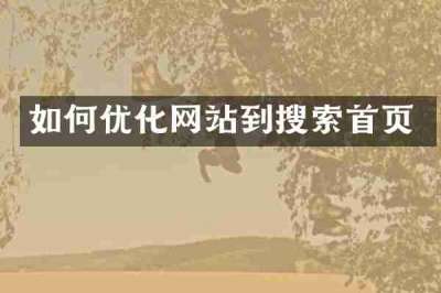 如何优化网站到搜索首页