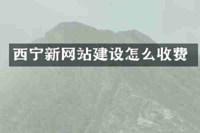 西宁新网站建设怎么收费