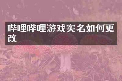 哔哩哔哩游戏实名如何更改