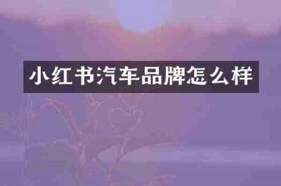 小红书汽车品牌怎么样