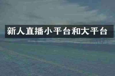新人直播小平台和大平台