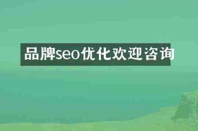 品牌seo优化欢迎咨询