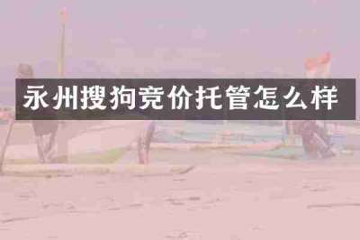 永州搜狗竞价托管怎么样