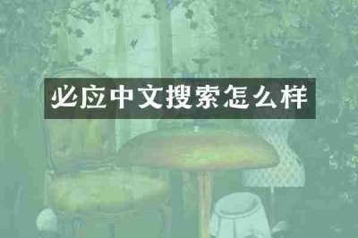 必应中文搜索怎么样