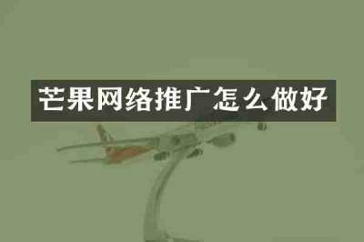 芒果网络推广怎么做好