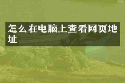 怎么在电脑上查看网页地址