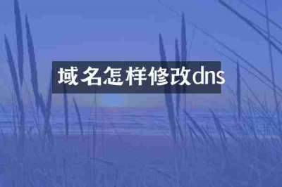 域名怎样修改dns