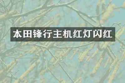 本田锋行主机红灯闪红