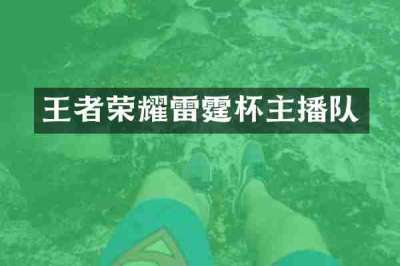 王者荣耀雷霆杯主播队