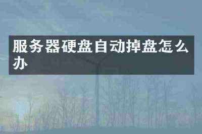 服务器硬盘自动掉盘怎么办
