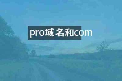 pro域名和com