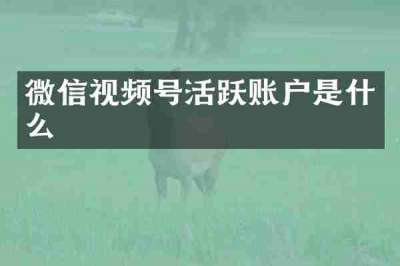 微信视频号活跃账户是什么