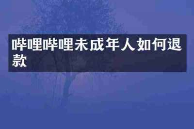哔哩哔哩未成年人如何退款