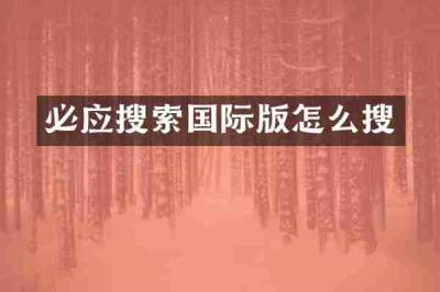 必应搜索国际版怎么搜