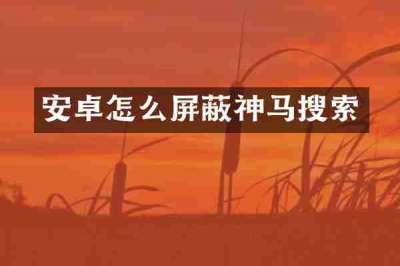 安卓怎么屏蔽神马搜索