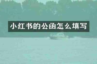 小红书的公函怎么填写