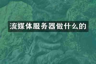 流媒体服务器做什么的