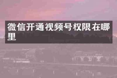 微信开通视频号权限在哪里