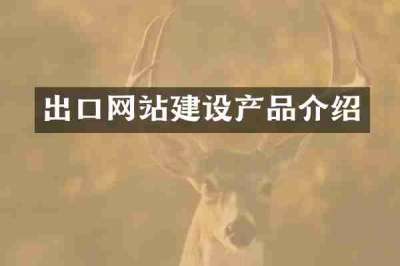 出口网站建设产品介绍