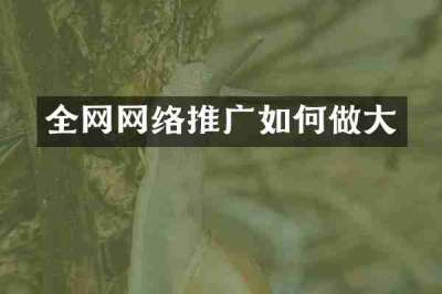 全网网络推广如何做大