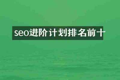 seo进阶计划排名前十
