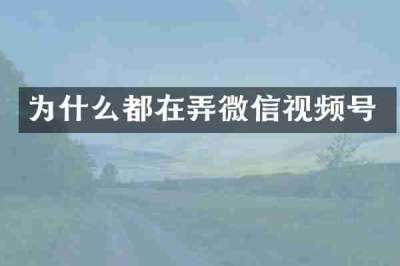 为什么都在弄微信视频号