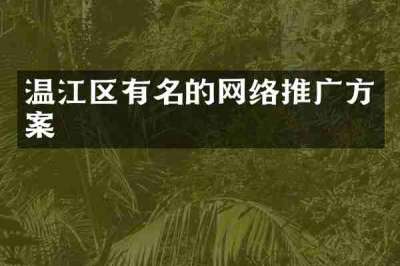 温江区有名的网络推广方案