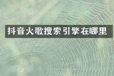 抖音火歌搜索引擎在哪里