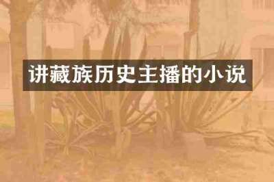 讲藏族历史主播的小说