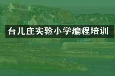台儿庄实验小学编程培训