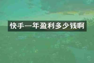 快手一年盈利多少钱啊