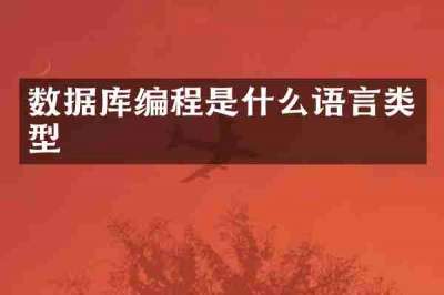 数据库编程是什么语言类型