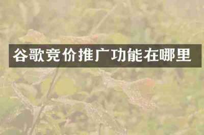 谷歌竞价推广功能在哪里