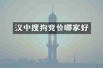 汉中搜狗竞价哪家好
