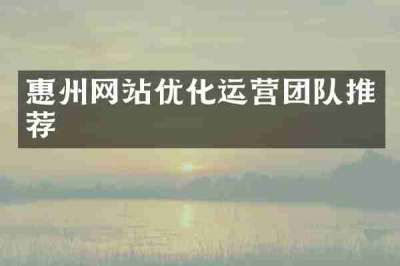 惠州网站优化运营团队推荐