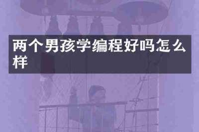 两个男孩学编程好吗怎么样