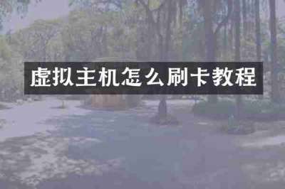 虚拟主机怎么刷卡教程