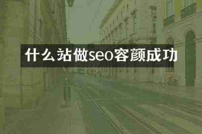 什么站做seo容颜成功