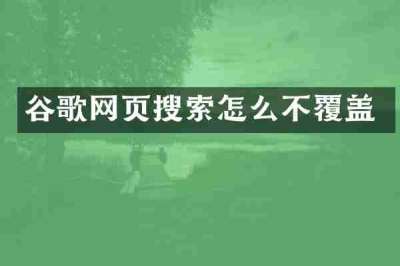 谷歌网页搜索怎么不覆盖