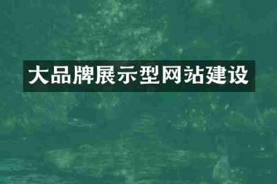 大品牌展示型网站建设