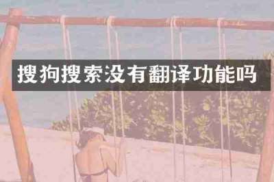 搜狗搜索没有翻译功能吗