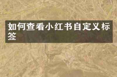 如何查看小红书自定义标签