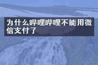 为什么哔哩哔哩不能用微信支付了