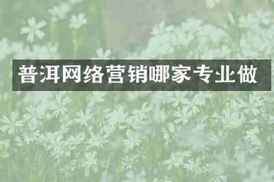 普洱网络营销哪家专业做