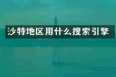 沙特地区用什么搜索引擎
