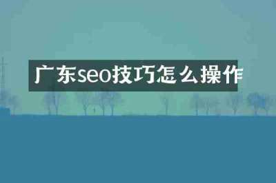 广东seo技巧怎么操作